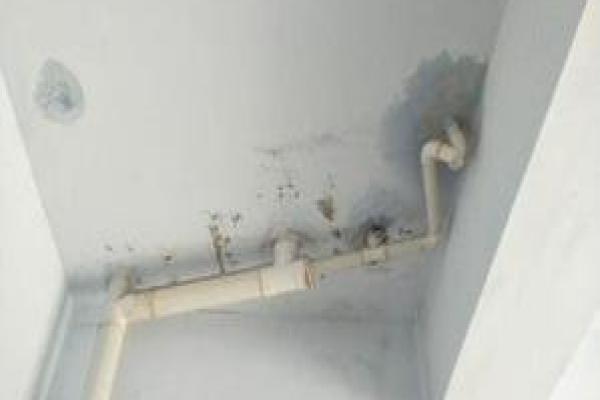 img1
